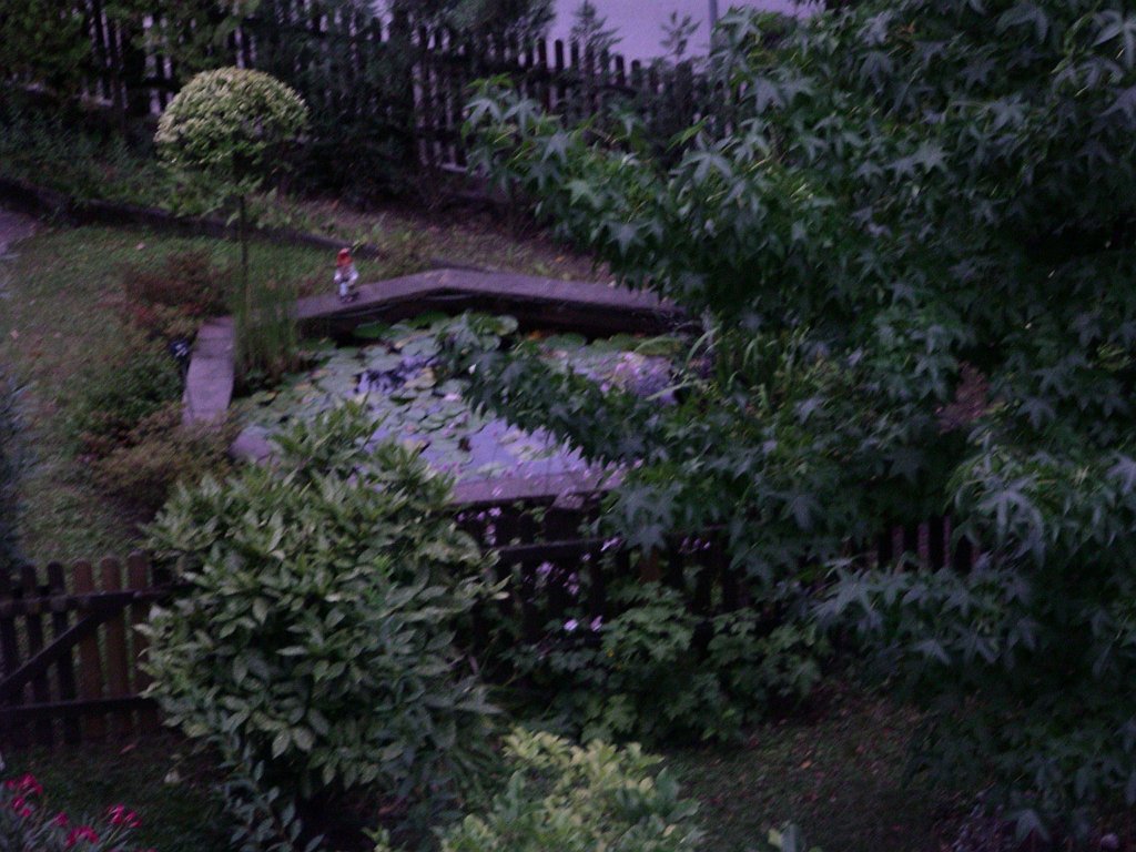 0030.jpg