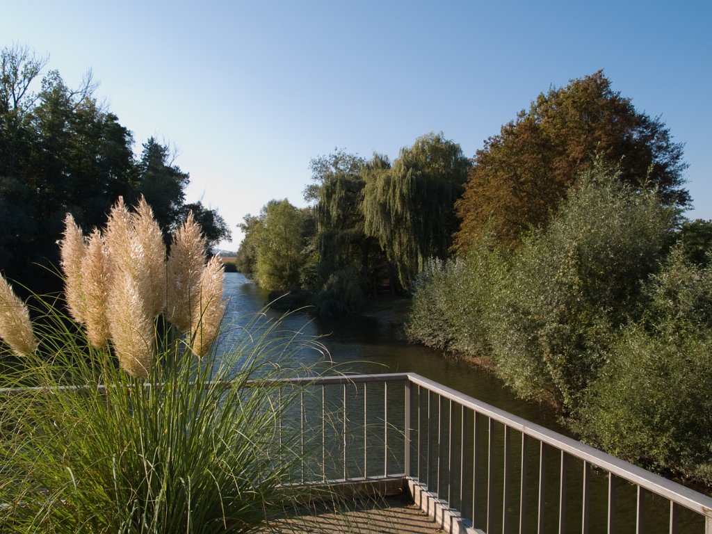 P9290351.jpg - OLYMPUS DIGITAL CAMERA