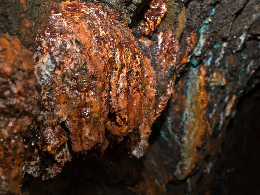 P9300483.jpg - OLYMPUS DIGITAL CAMERA