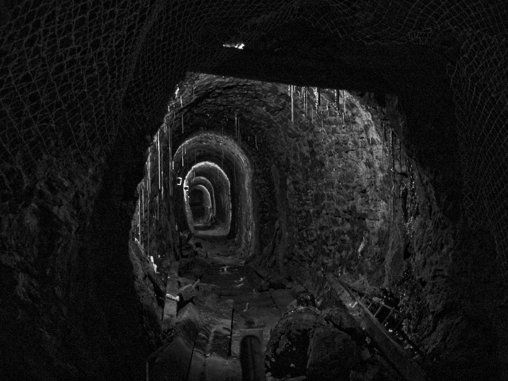 P9300496.jpg - OLYMPUS DIGITAL CAMERA