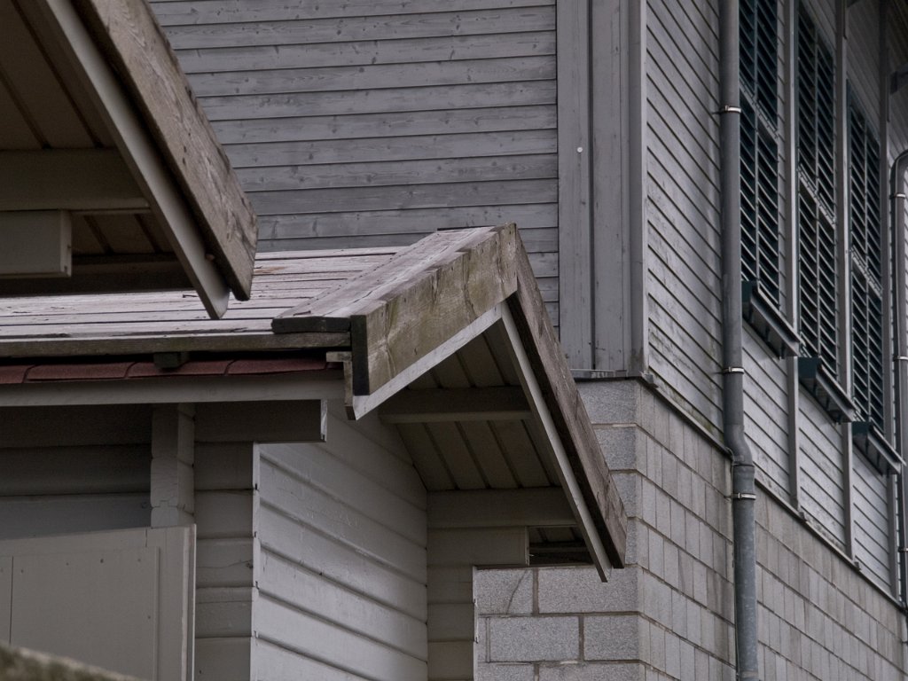 PA010909.jpg - OLYMPUS DIGITAL CAMERA