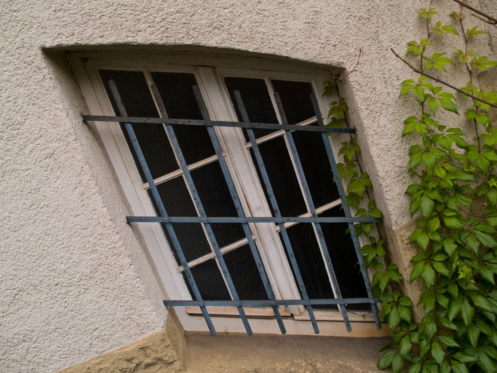 PA021001.jpg - OLYMPUS DIGITAL CAMERA