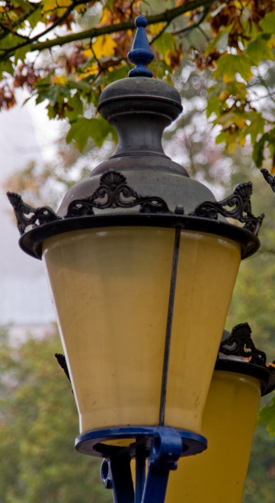 PA021003.jpg - OLYMPUS DIGITAL CAMERA