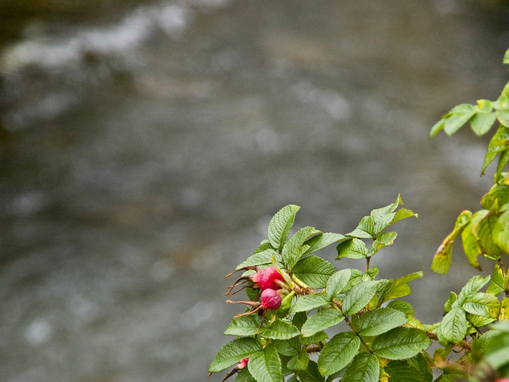 PA021090.jpg - OLYMPUS DIGITAL CAMERA