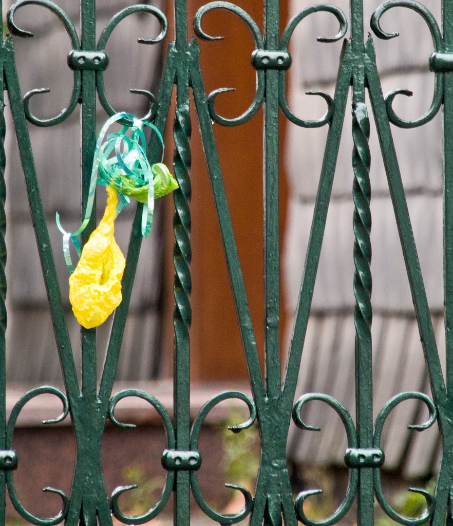 PA021107.jpg - OLYMPUS DIGITAL CAMERA