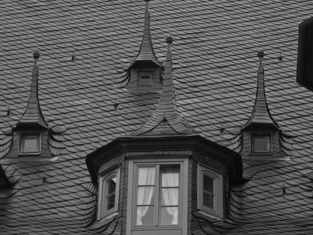 PA021170.jpg - OLYMPUS DIGITAL CAMERA