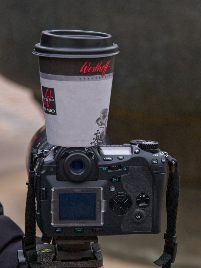 PA021177.jpg - OLYMPUS DIGITAL CAMERA