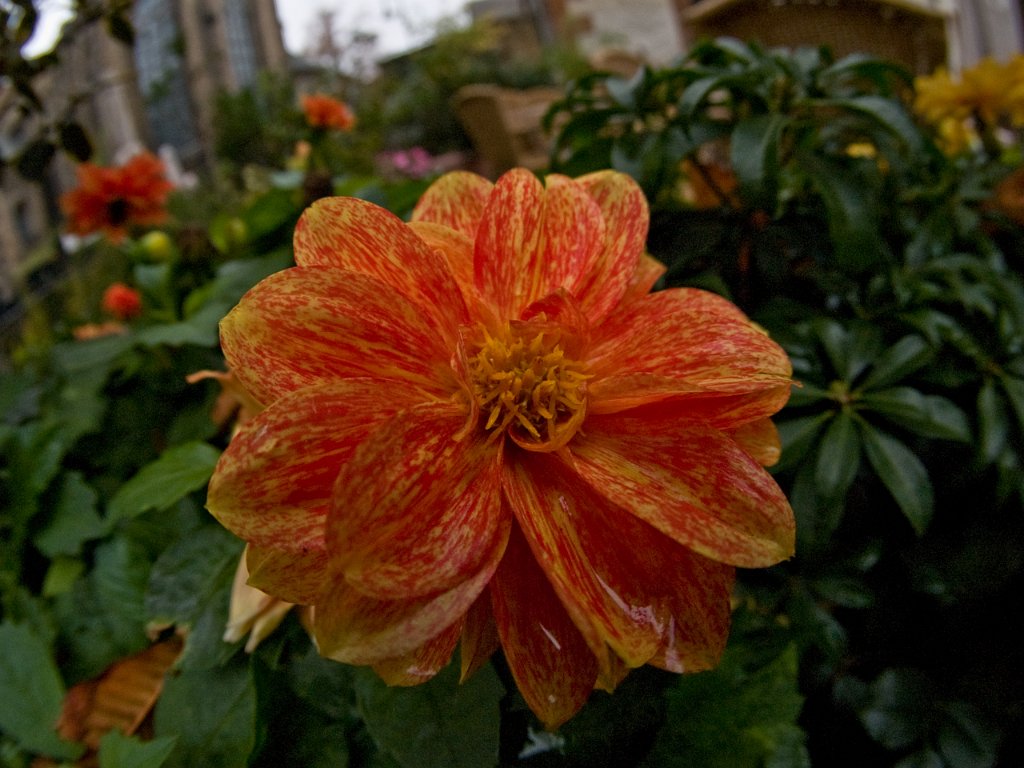 PA021193.jpg - OLYMPUS DIGITAL CAMERA