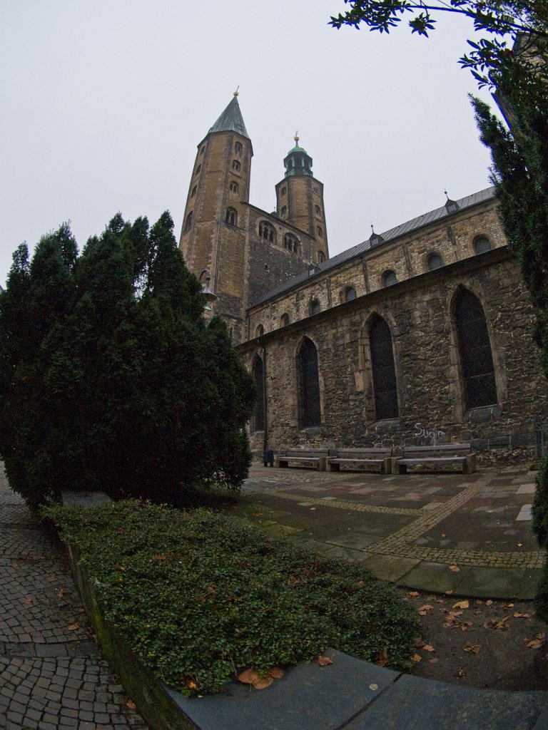 PA021195.jpg - OLYMPUS DIGITAL CAMERA