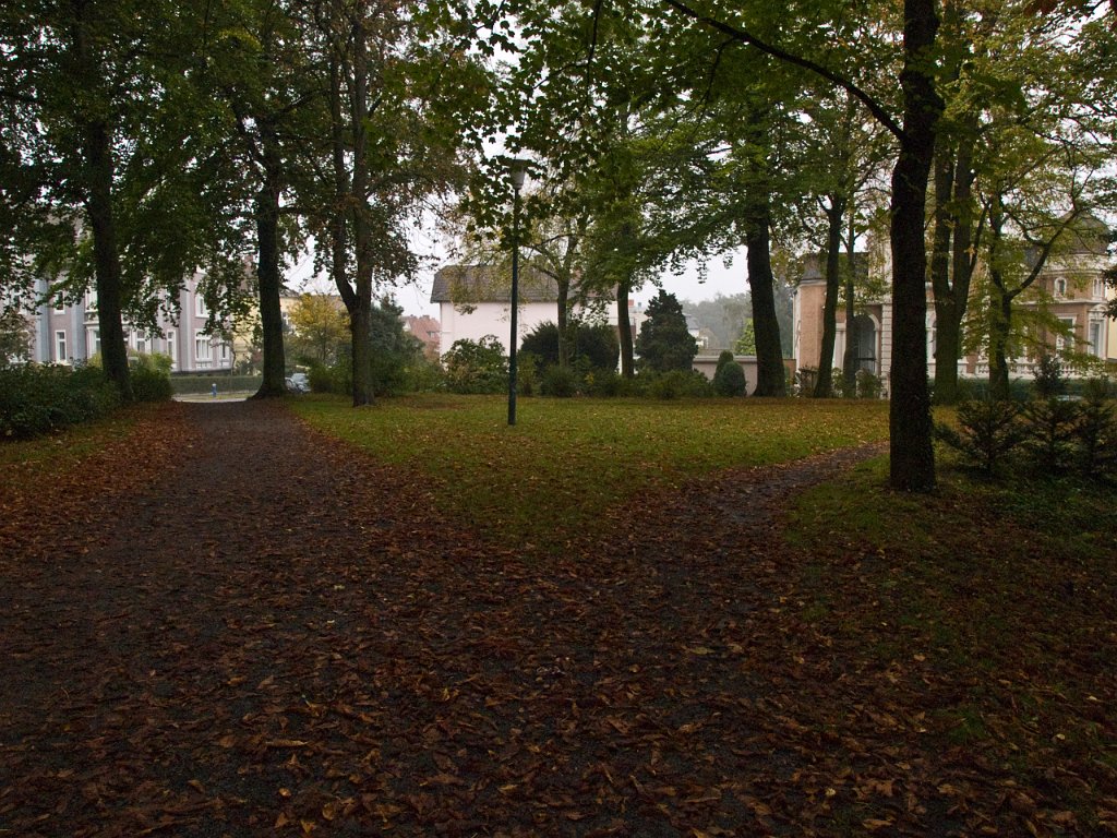 PA021211.jpg - OLYMPUS DIGITAL CAMERA