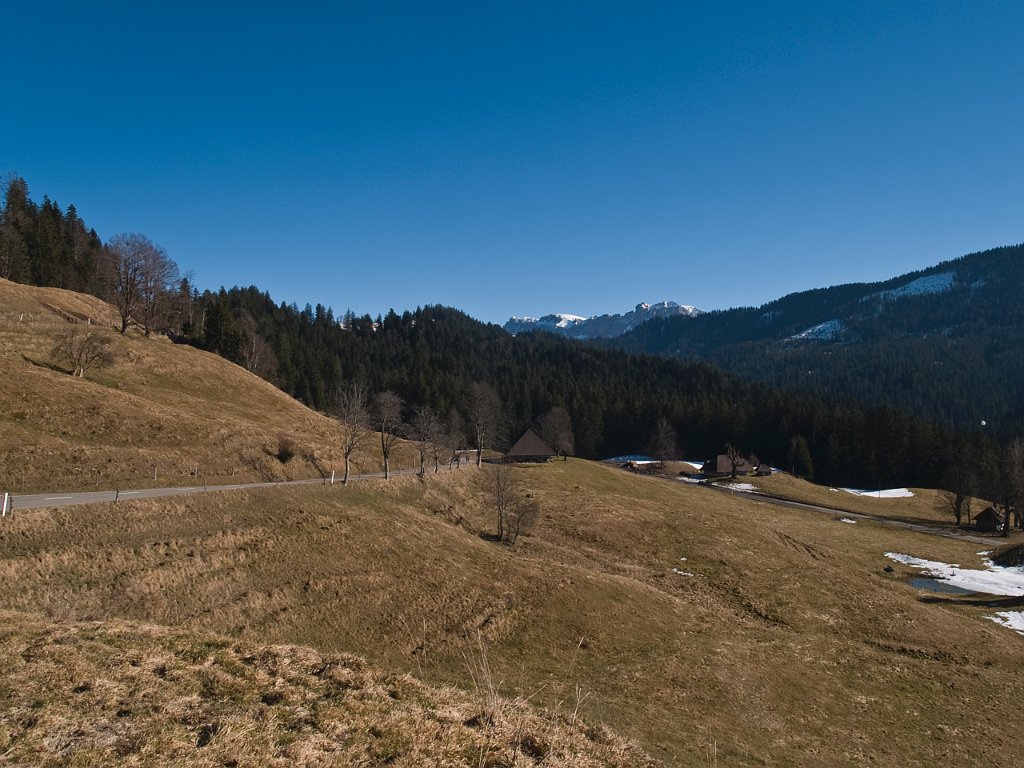 P2244608.jpg - OLYMPUS DIGITAL CAMERA