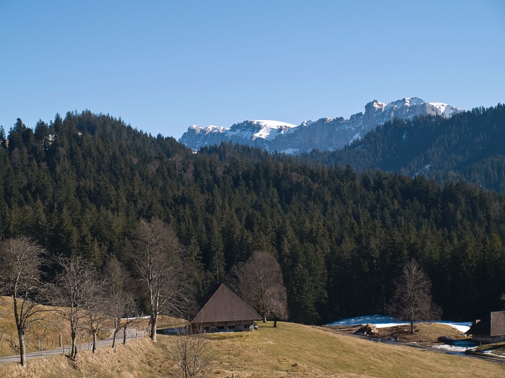 P2244611.jpg - OLYMPUS DIGITAL CAMERA