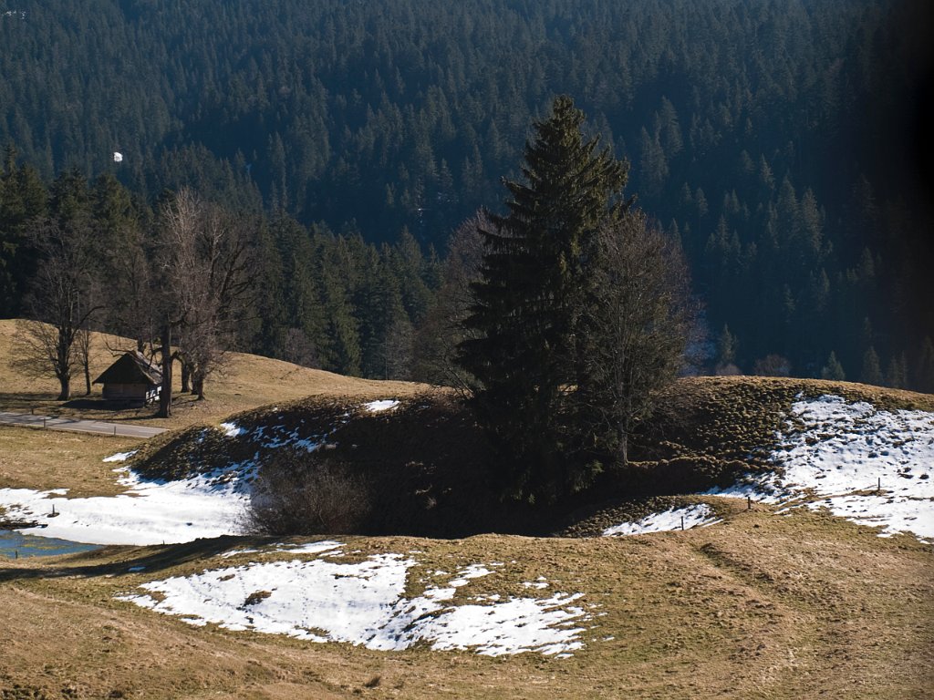 P2244618.jpg - OLYMPUS DIGITAL CAMERA