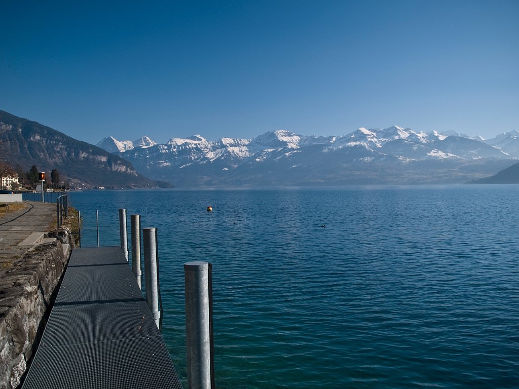 P2244628.jpg - OLYMPUS DIGITAL CAMERA