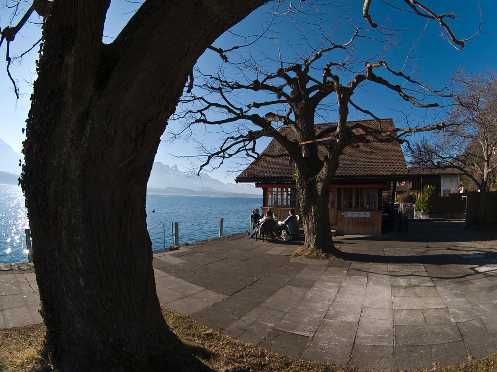 P2244642.jpg - OLYMPUS DIGITAL CAMERA