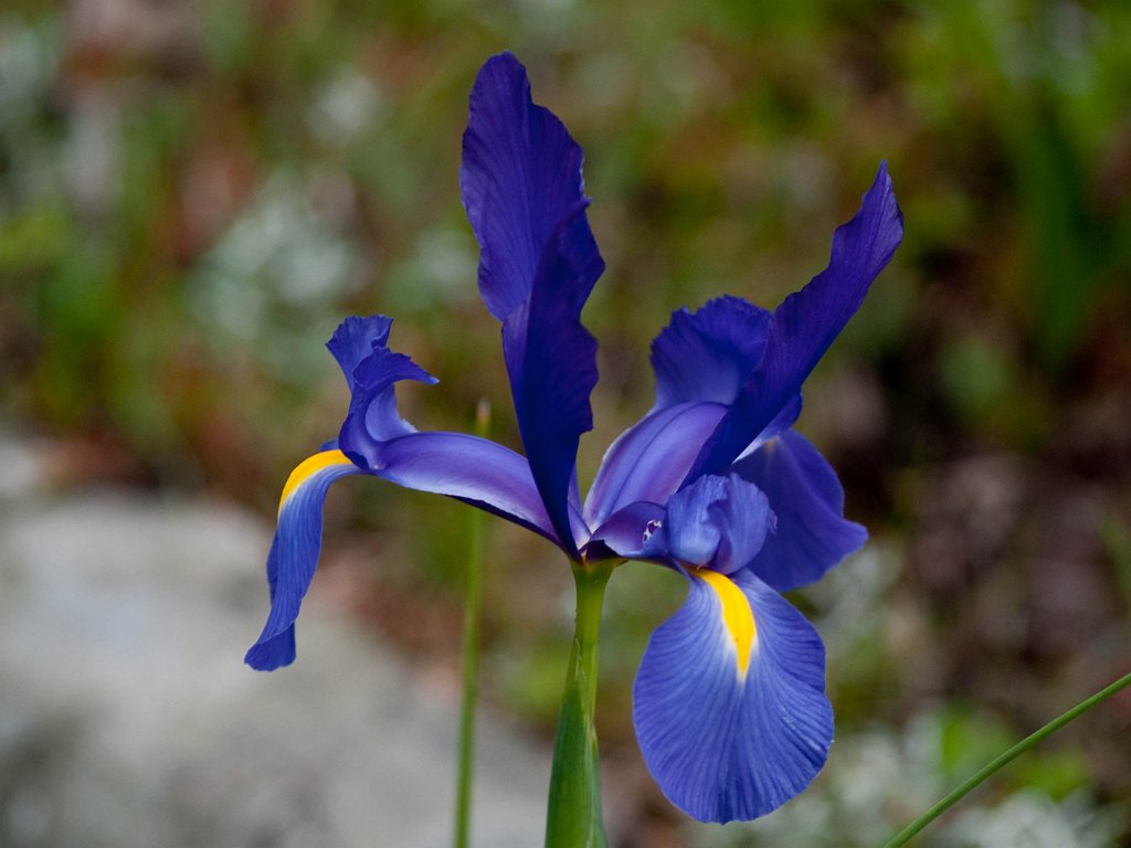 P4225816.jpg - OLYMPUS DIGITAL CAMERA