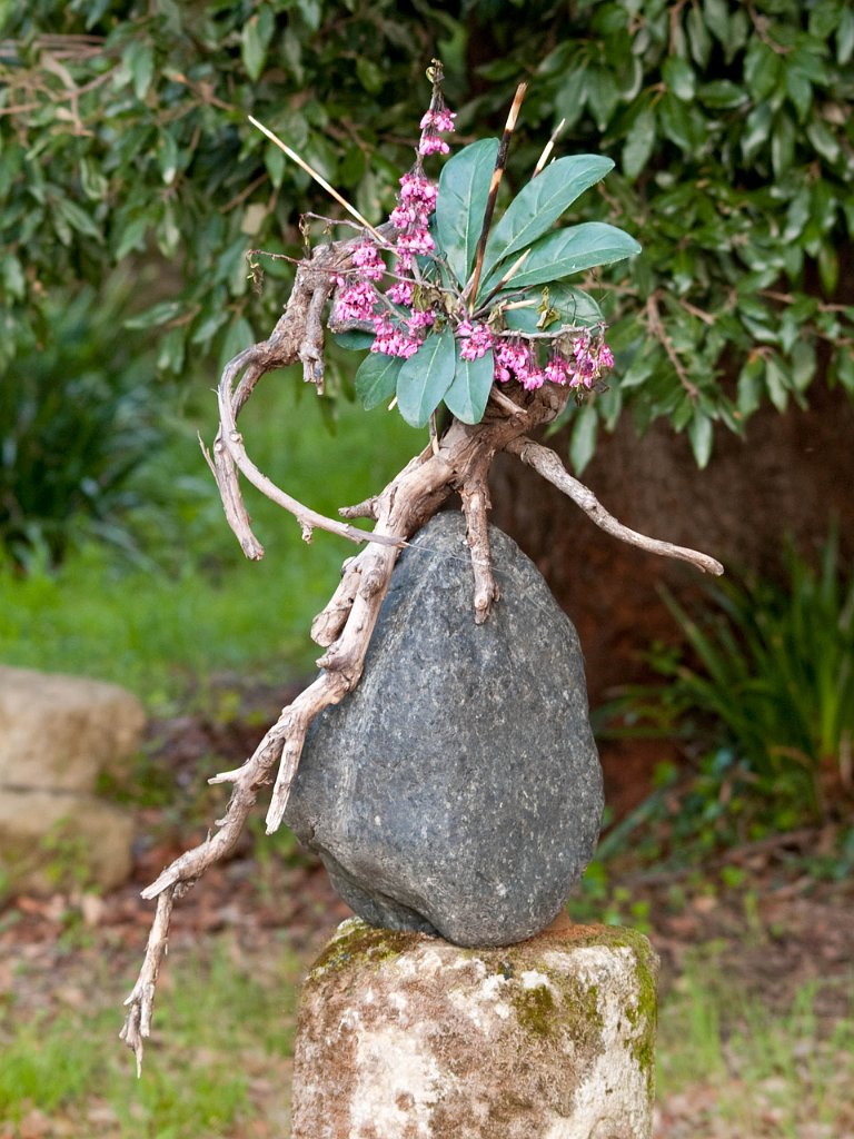 P4225828.jpg - OLYMPUS DIGITAL CAMERA