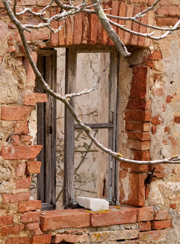 P4225885.jpg - OLYMPUS DIGITAL CAMERA