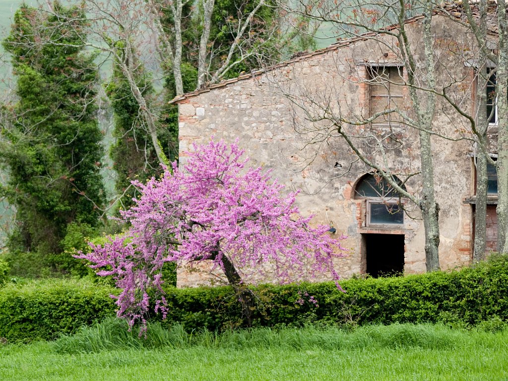 P4225959.jpg - OLYMPUS DIGITAL CAMERA