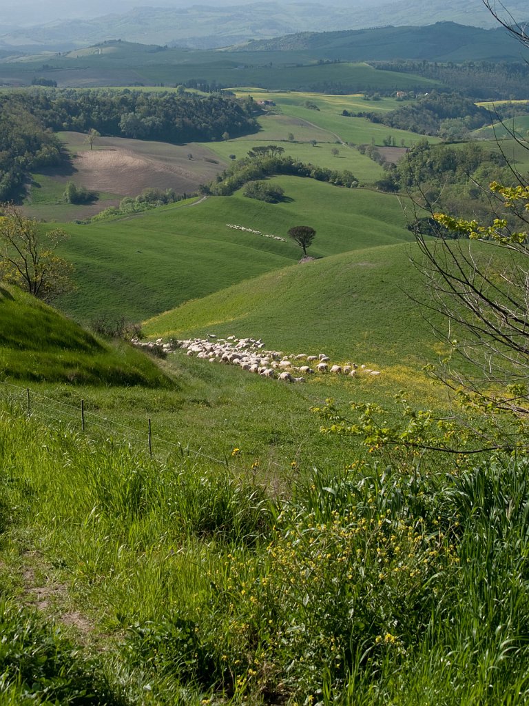 P4236016.jpg - OLYMPUS DIGITAL CAMERA