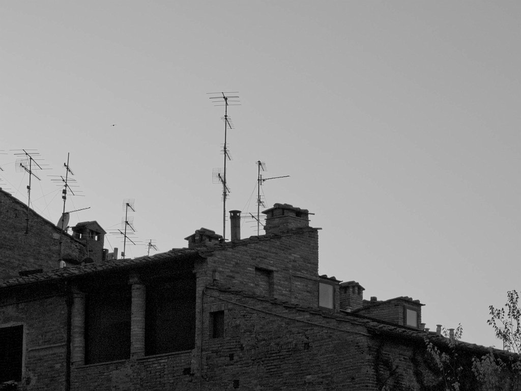 P4236229.jpg - OLYMPUS DIGITAL CAMERA