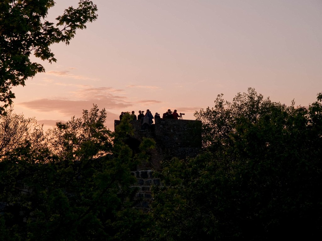 P4236233.jpg - OLYMPUS DIGITAL CAMERA