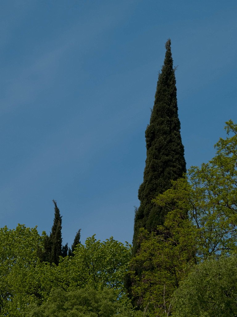 P4246341.jpg - OLYMPUS DIGITAL CAMERA