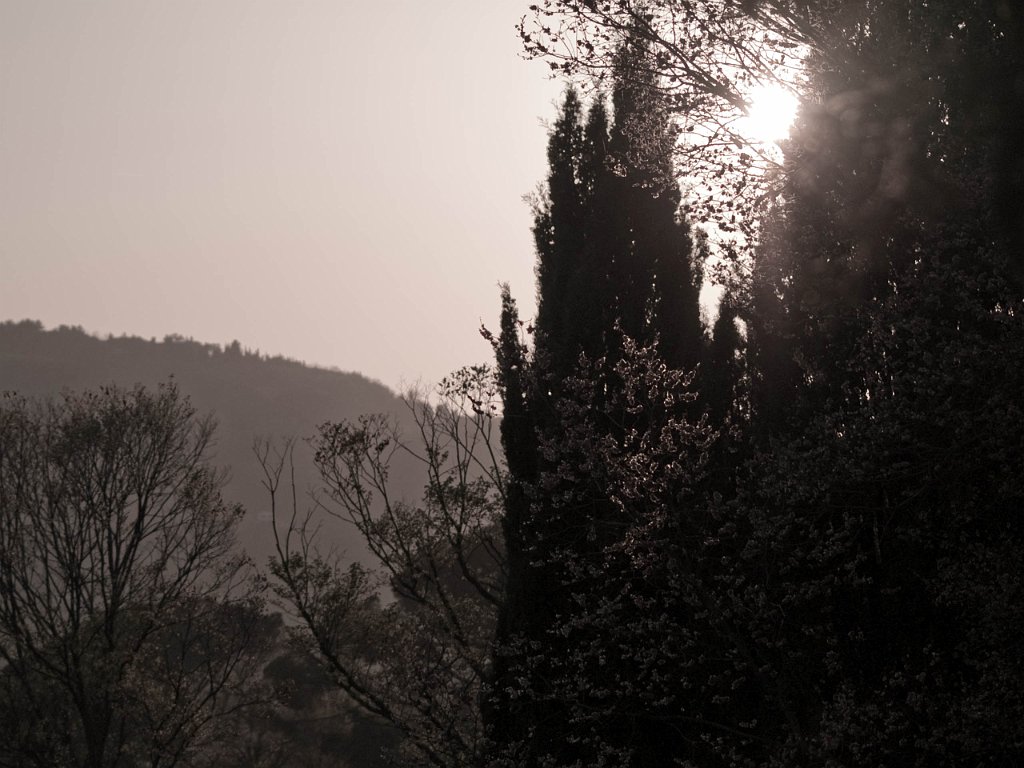 P4246535.jpg - OLYMPUS DIGITAL CAMERA