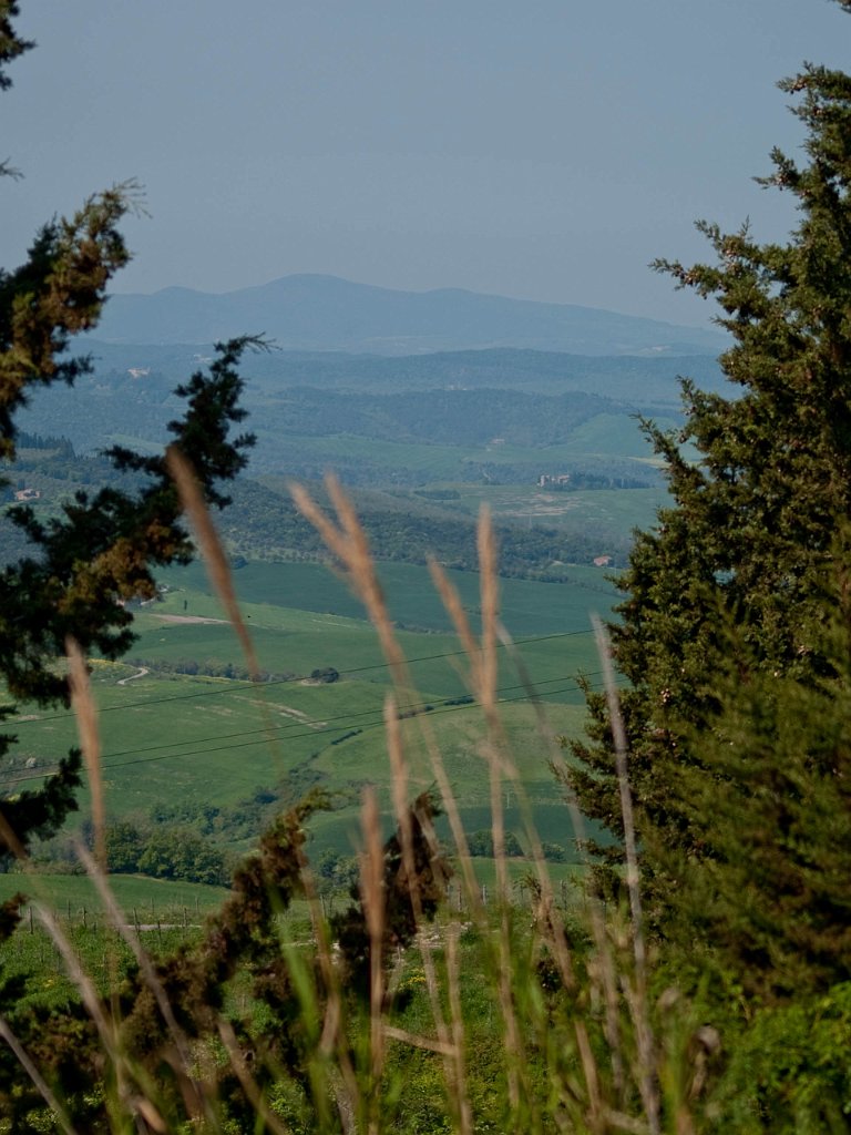 P4256569.jpg - OLYMPUS DIGITAL CAMERA