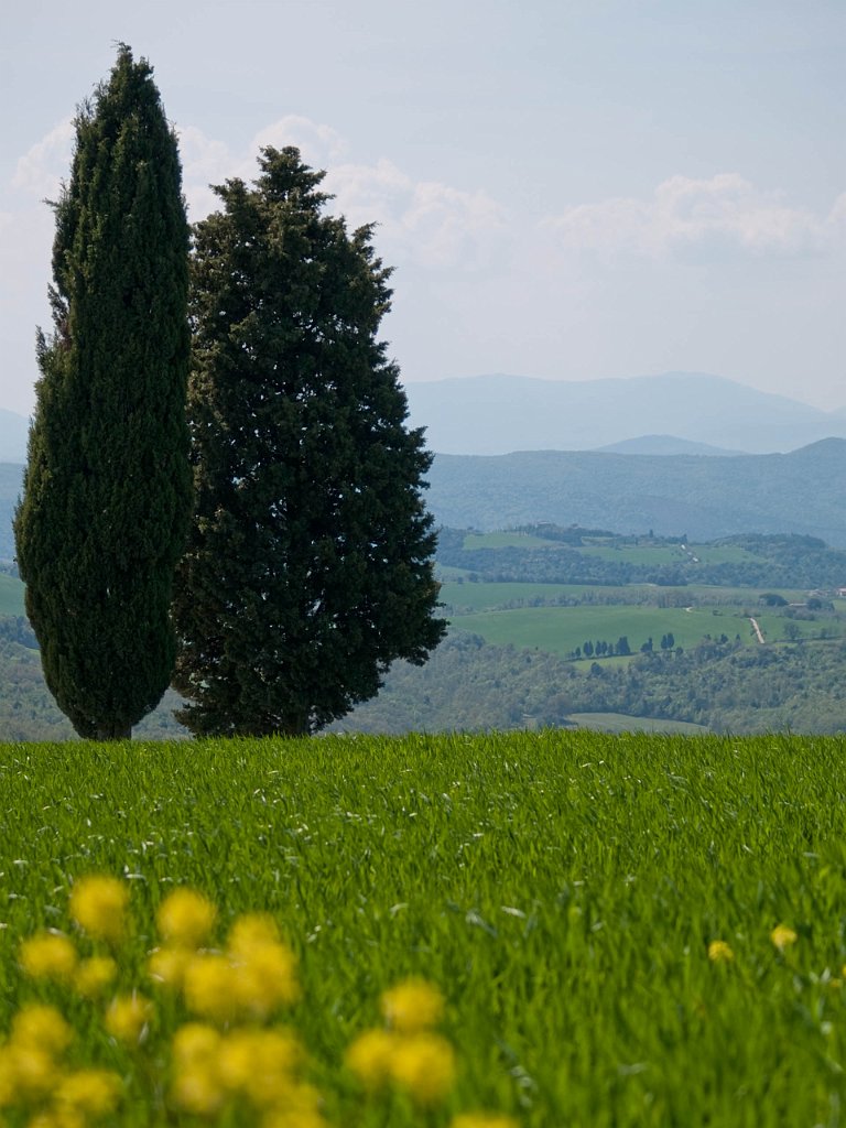 P4256611.jpg - OLYMPUS DIGITAL CAMERA