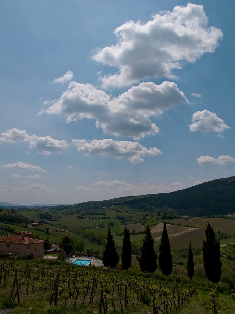 P4256645.jpg - OLYMPUS DIGITAL CAMERA