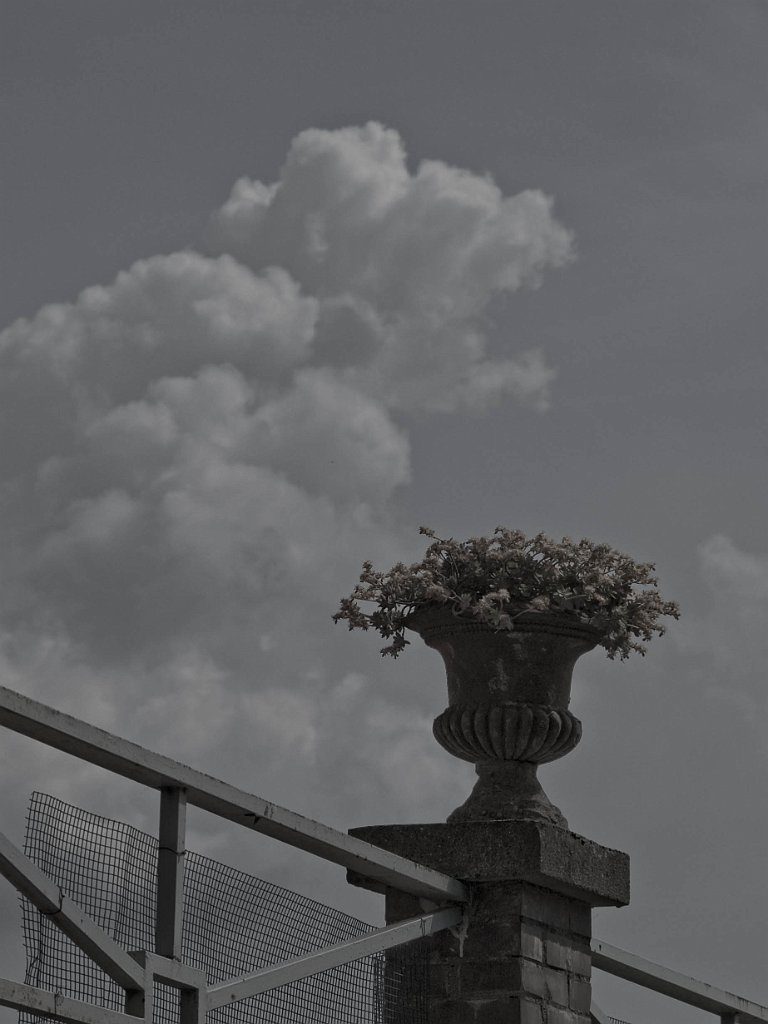 P4256675.jpg - OLYMPUS DIGITAL CAMERA