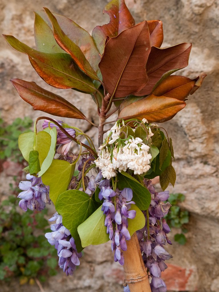 P4256738.jpg - OLYMPUS DIGITAL CAMERA