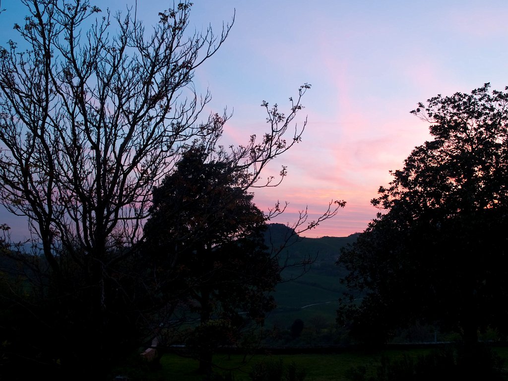 P4256772.jpg - OLYMPUS DIGITAL CAMERA