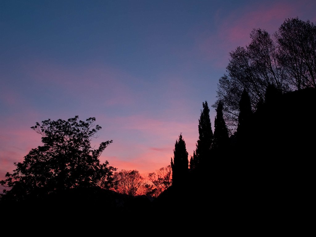 P4256775.jpg - OLYMPUS DIGITAL CAMERA