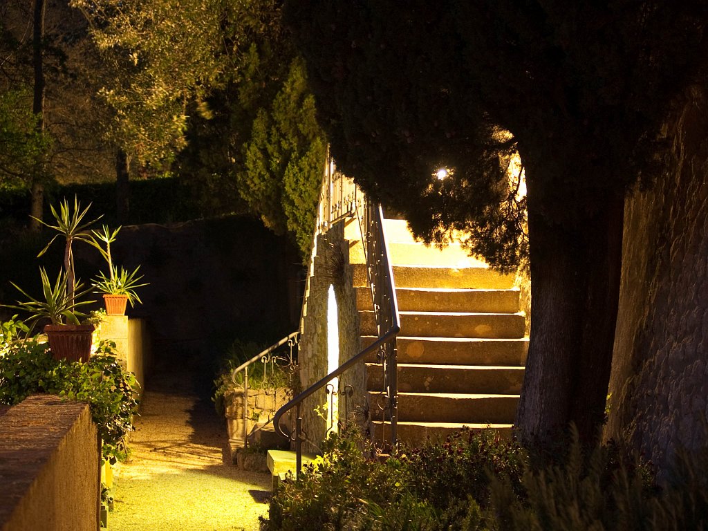 P4256802.jpg - OLYMPUS DIGITAL CAMERA