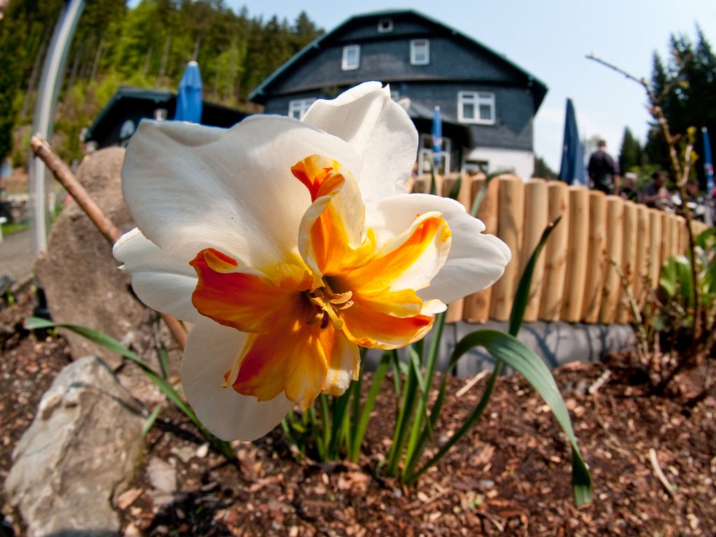 P5012355.jpg - OLYMPUS DIGITAL CAMERA