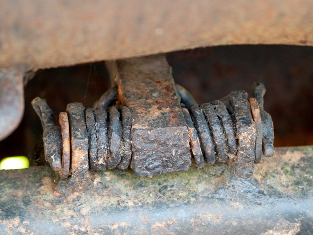 P5012372.jpg - OLYMPUS DIGITAL CAMERA