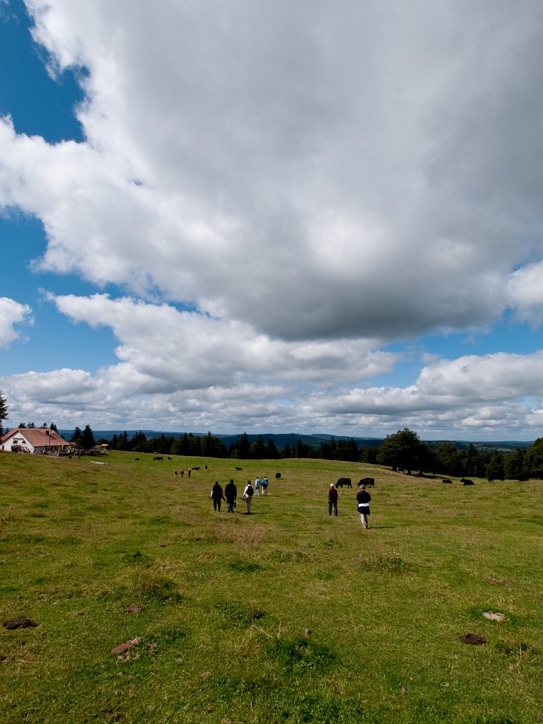 P9055706.jpg - OLYMPUS DIGITAL CAMERA