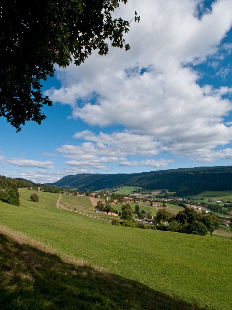 P9055739.jpg - OLYMPUS DIGITAL CAMERA