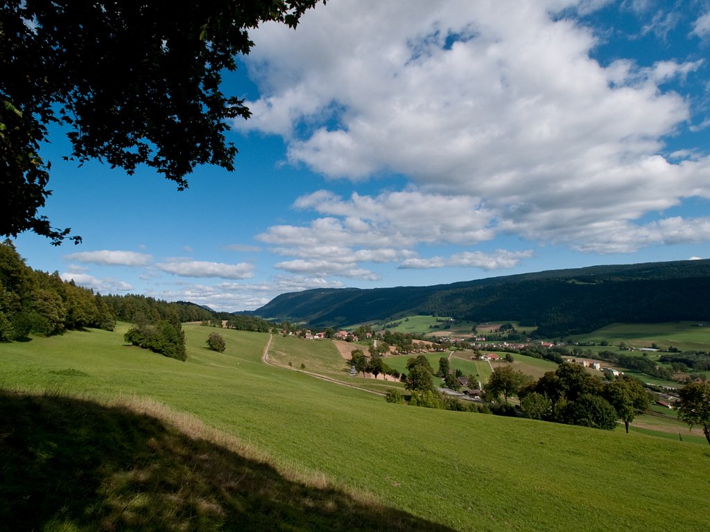 P9055740.jpg - OLYMPUS DIGITAL CAMERA