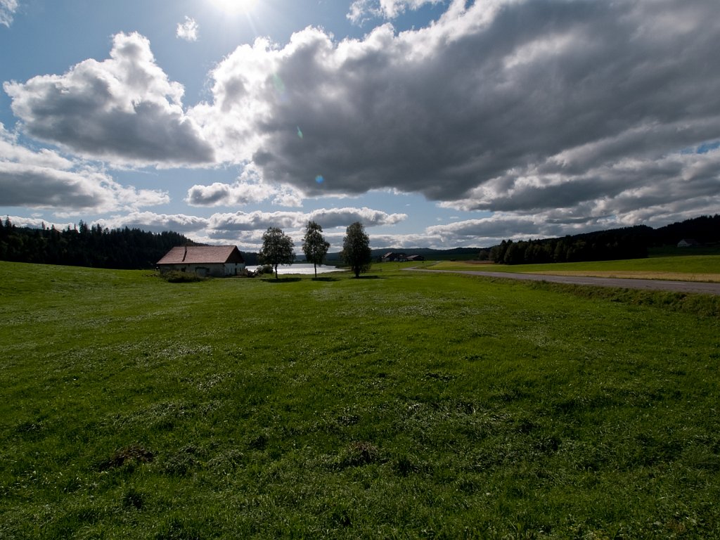 P9055745.jpg - OLYMPUS DIGITAL CAMERA