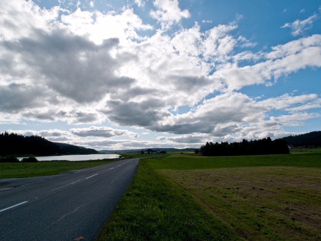 P9055765.jpg - OLYMPUS DIGITAL CAMERA