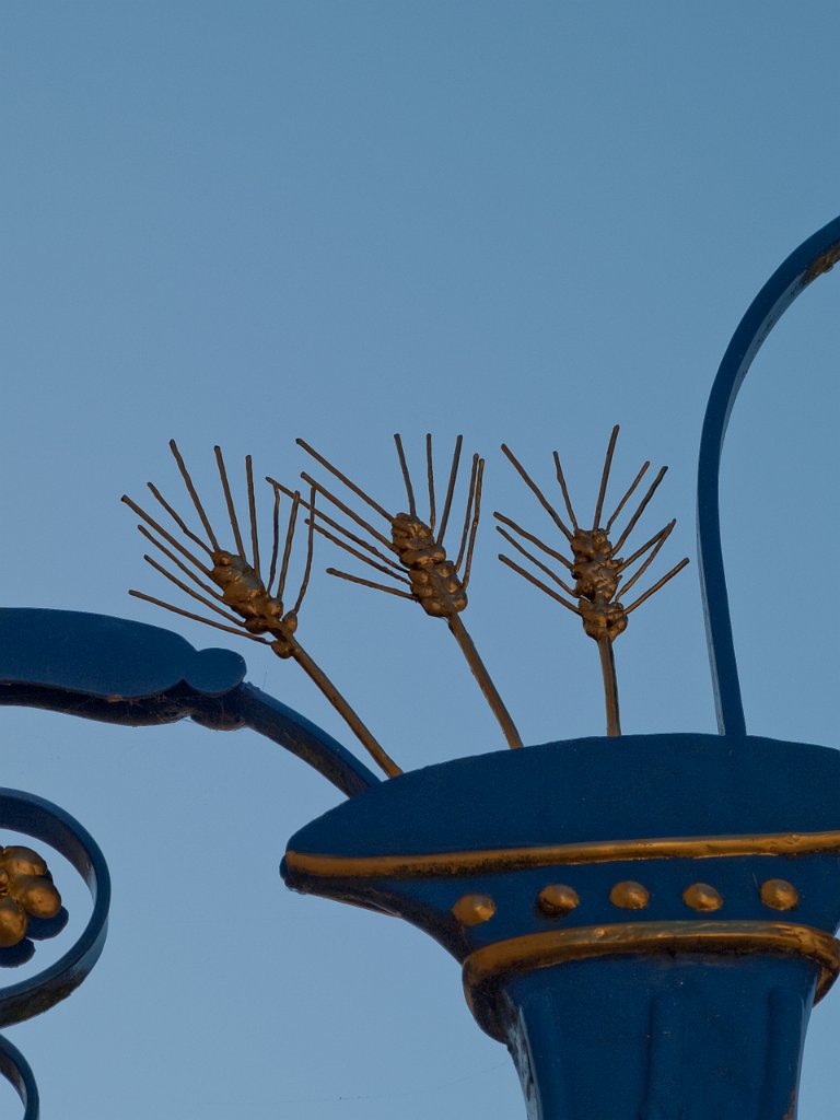 P9065791.jpg - OLYMPUS DIGITAL CAMERA