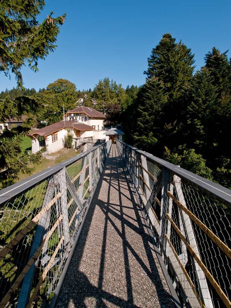 P9065806.jpg - OLYMPUS DIGITAL CAMERA