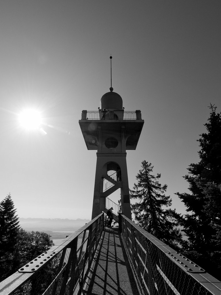 P9065808.jpg - OLYMPUS DIGITAL CAMERA