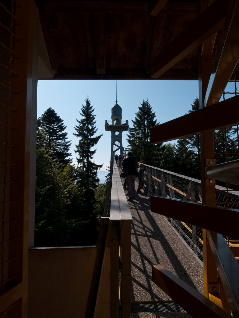 P9065839.jpg - OLYMPUS DIGITAL CAMERA