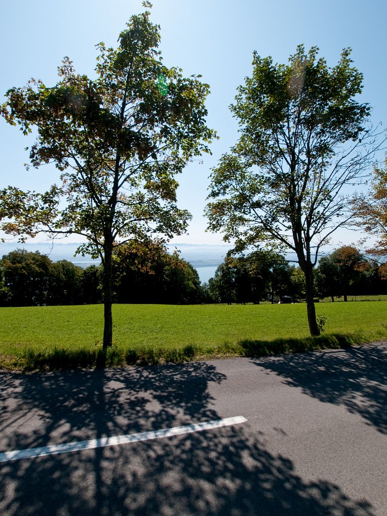 P9065944.jpg - OLYMPUS DIGITAL CAMERA