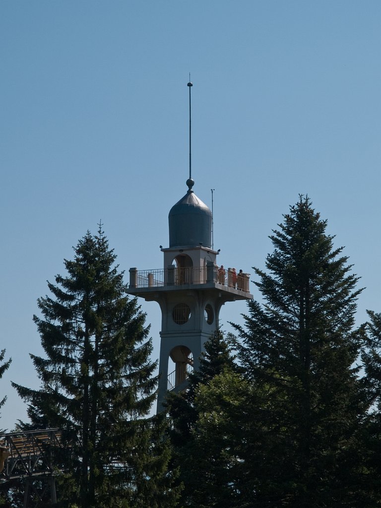 P9065954.jpg - OLYMPUS DIGITAL CAMERA