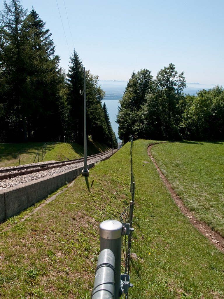 P9065957.jpg - OLYMPUS DIGITAL CAMERA